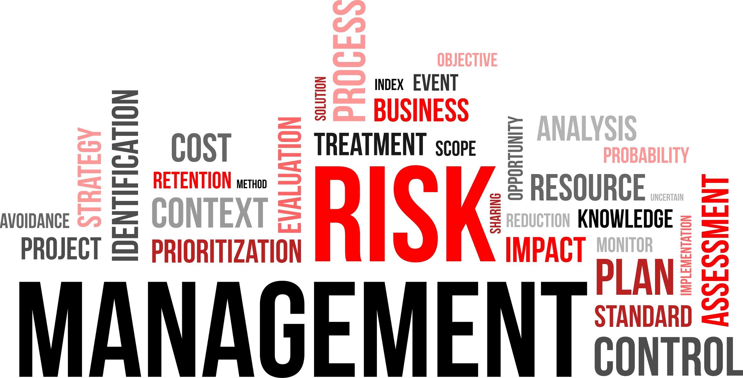 Insurance Risk Management